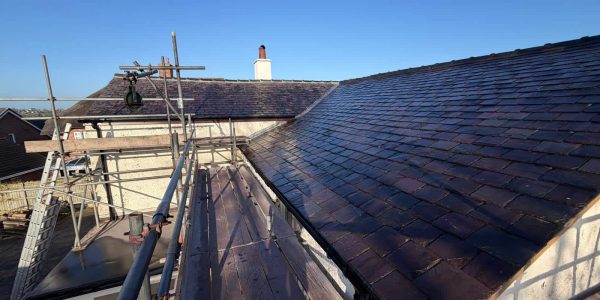 WhatsApp Image 2026-04-13 at 13.47.19 (7)